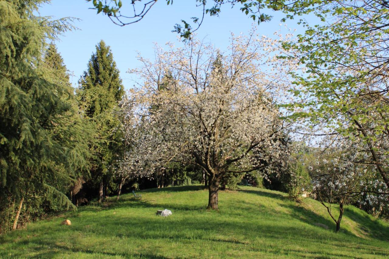 אסולו Villa Flangini מראה חיצוני תמונה